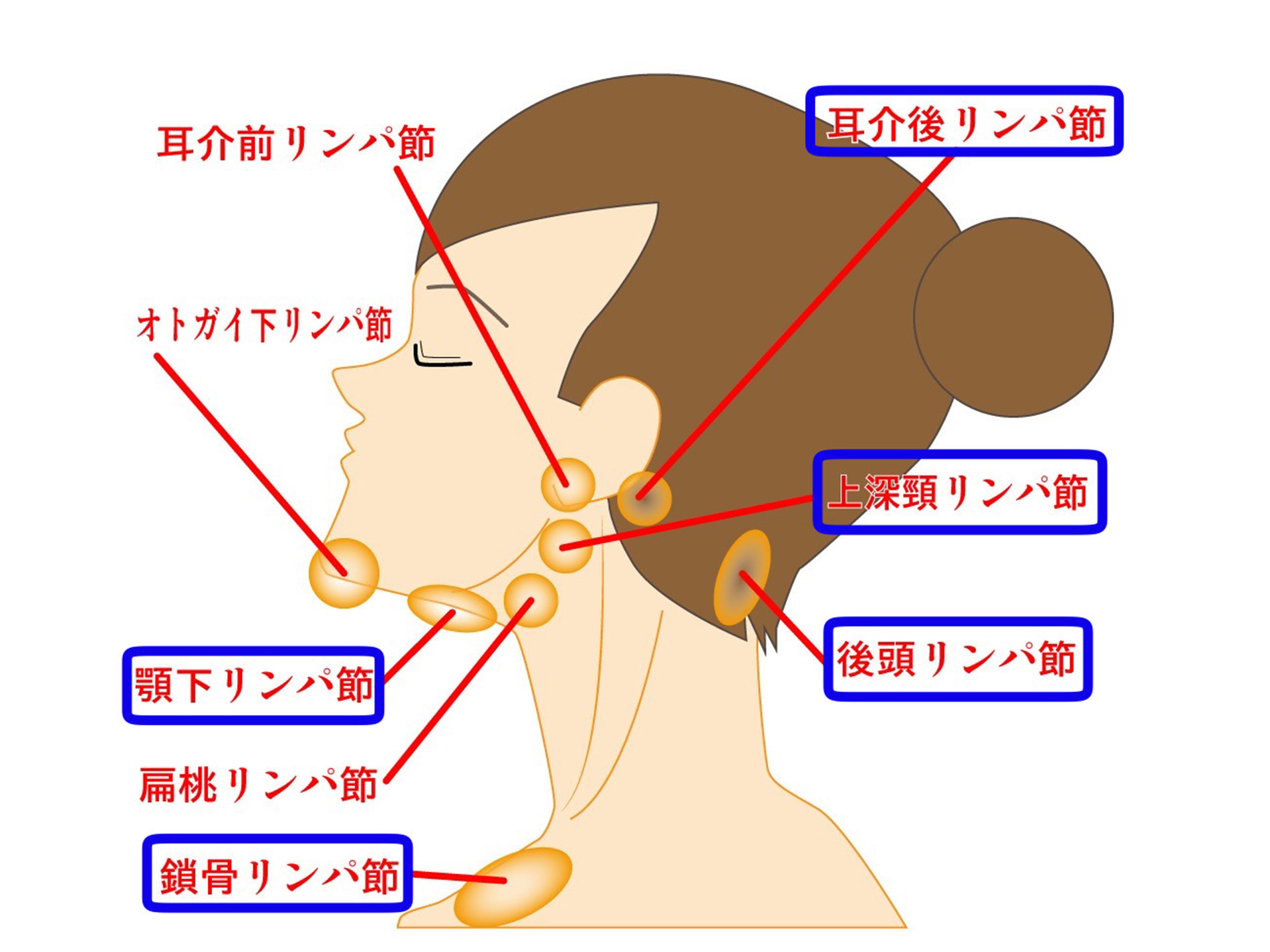 マッサージをするといいリンパ節
