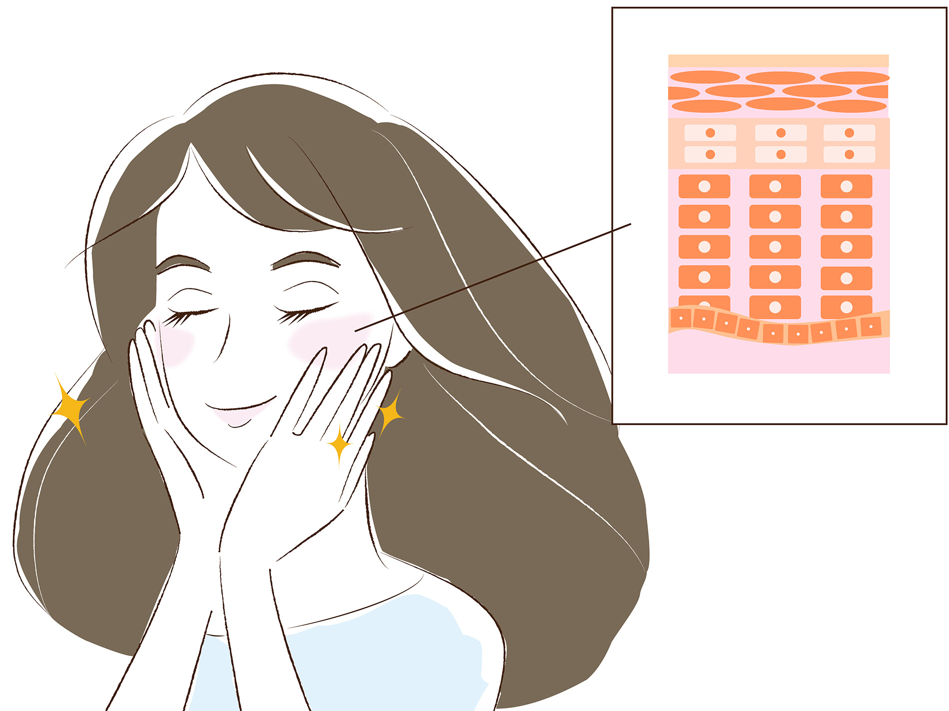 肌のターンオーバーが整っった女性のイラスト
