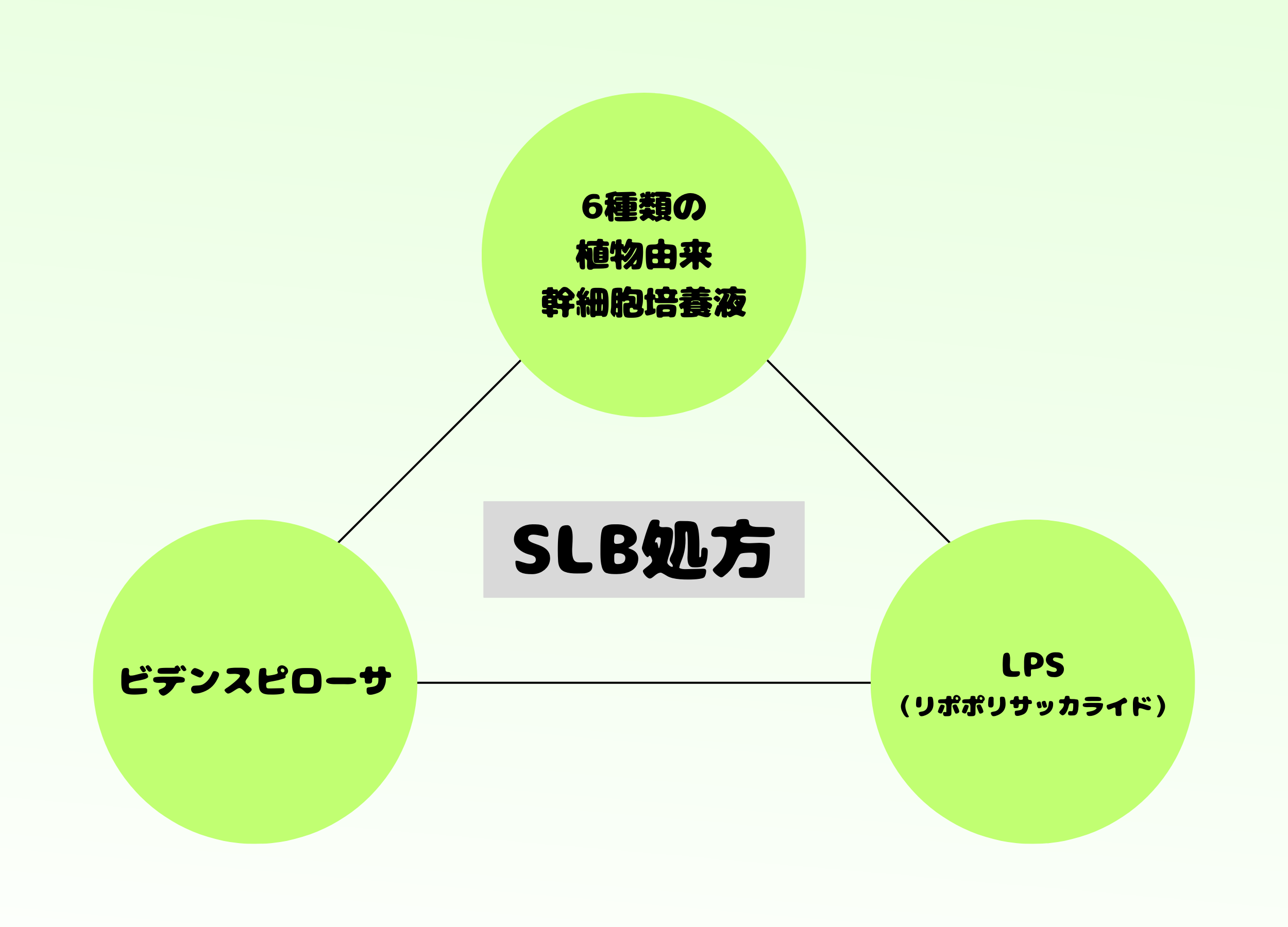 SLB処方。角質層にうるおいを与えるとともに、バリア機能が低下しがちな肌のキメを整えてくれる効果にも期待ができます