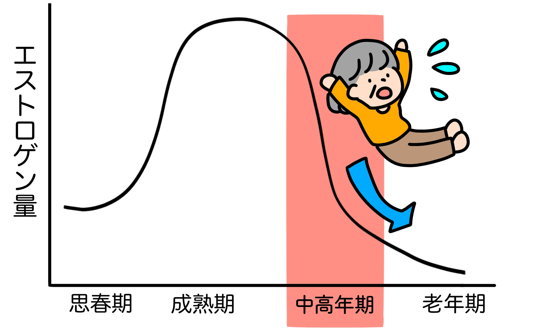 中高年期（閉経期前後10年間）に「卵胞ホルモン（エストロゲン）」の分泌が急激に減少