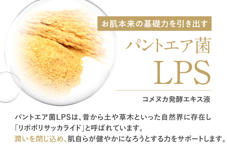 パントエア菌LPS