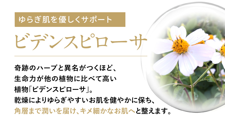 ビデンスピローサ