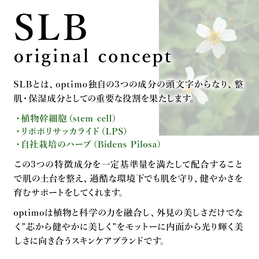 SLB処方